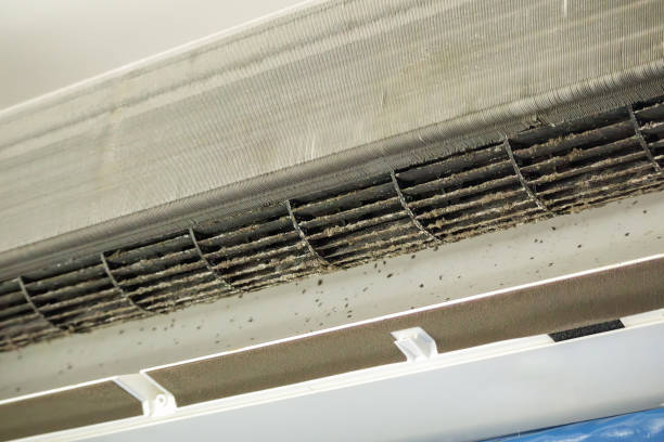 Best Ductwork Cleaning Services  in Lake City, GA